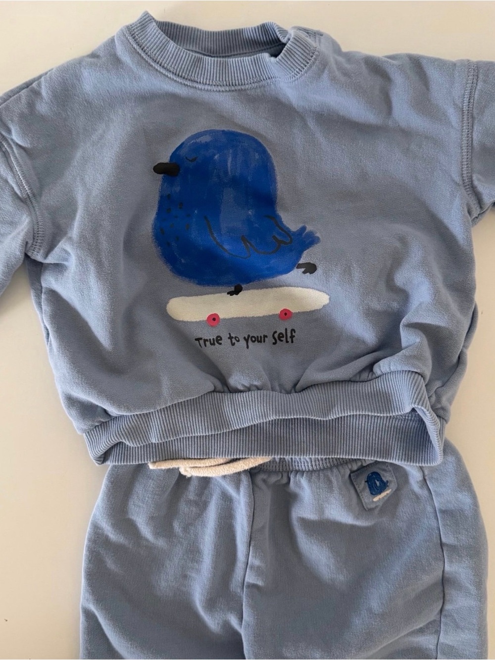 H&M Baby Blue Bird Sweatshirt and Pants Matching Set